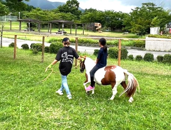 ポニーの乗馬体験